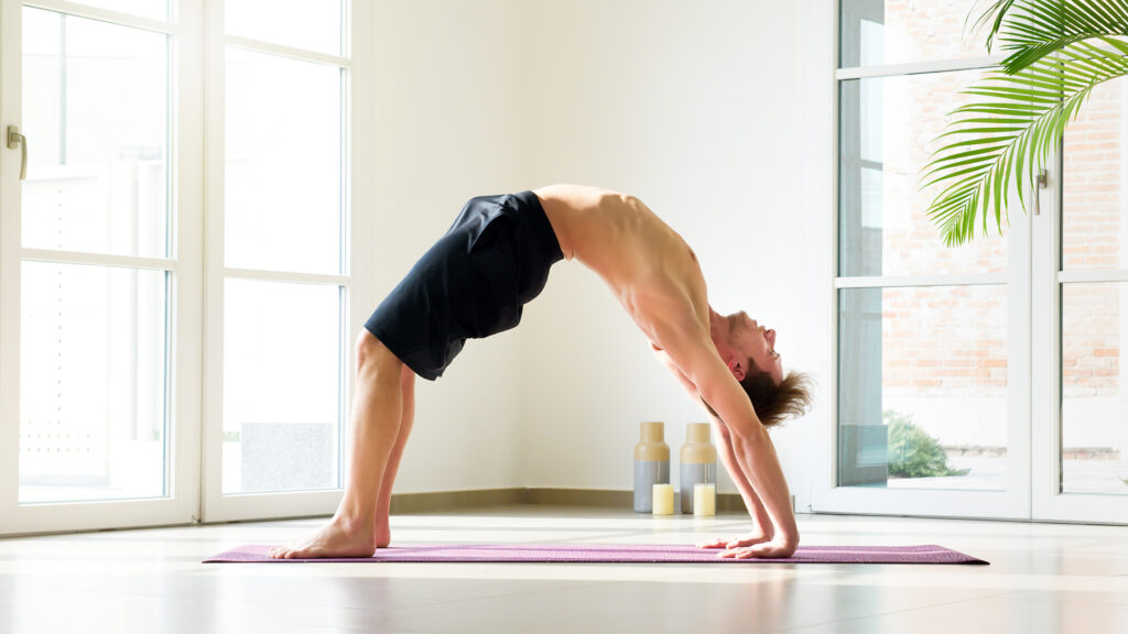 puente de flexibilidad