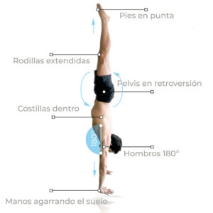 técnica del handstand