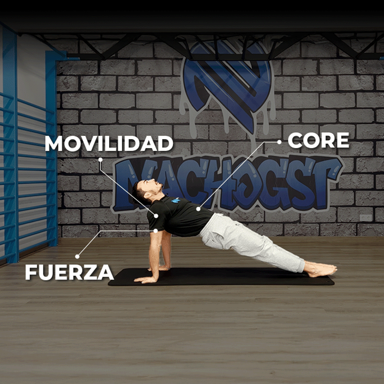 Cimientos PRO nivel 1